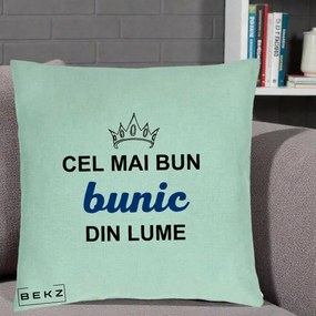 Cadou pentru Bunic - Perna Personalizata Cel Mai Bun Bunic Din Lume Coroana Albastra, 40x40 cm, Verde Menta, Husa Detasabila, Perna Inclusa, BEKZ®