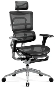 Scaun ergonomic  DIABLO V-MASTER: negru