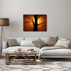 Tablou pe sticlă cu copac în apus de soare (70x50 cm)