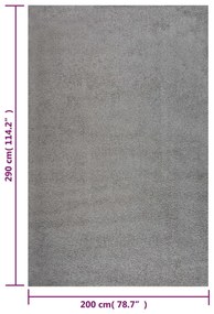 Covor Shaggy, fir lung, gri, 200x290 cm Gri, 200 x 290 cm