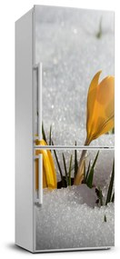 Autocolant pe frigider branduse galben