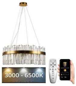 Lustră LED de cristal dimabilă pe cablu LED/80W/230V + telecomandă