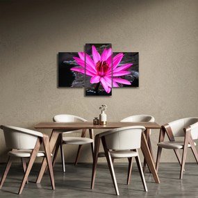 Tablou - floarea roz (90x60 cm)