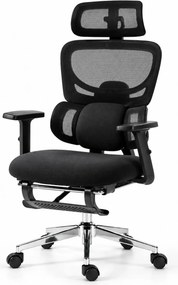 ErgoVanta — Scaun ergonomic, Spătar din Mesh, Suport lombar reglabil, Șezut buretat, Tetieră 2D, Cotiere reglabile, Mecanism cu blocare, Suport pentru picioare retractabil, Negru