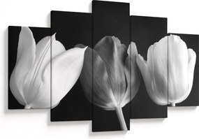 Tablou - Lalele alb negre (150x105 cm)