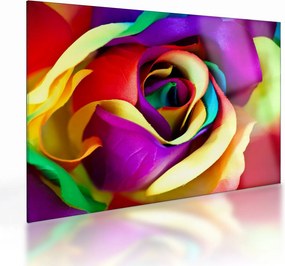 Tablou pe sticlă - Trandafir colorat (70x50 cm)