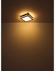 Plafoniera LED Carla 41589D2, 24W, 1340lm, lumina calda, IP20, neagra+maro, Globo Lighting