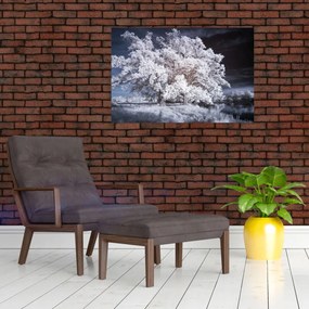 Tablou - Albă ca Zăpada Copac (90x60 cm)