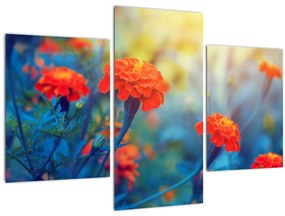 Tablou - Flori portocalii (90x60 cm)
