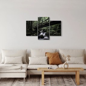 Tablou din pădurea neagră (90x60 cm)