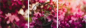Tablou cu florile tufișului înflorit (cu ceas) (90x30 cm)