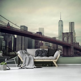 Fototapet - Manhattan (254x184 cm)