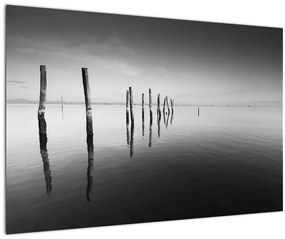 Tablou cu nivelul de lac alb negru (90x60 cm)