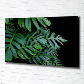 Print pe pânză Monstera