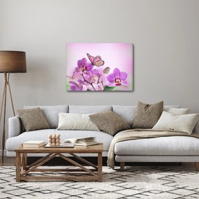 Tablou - Fluture pe flori de orhidee, liliac (70x50 cm)