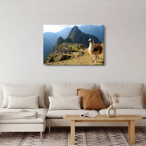 Tablou - Lama și Machu Picchu (90x60 cm)