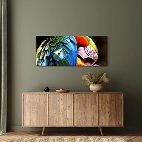 Tablou - Papagal (120x50 cm)