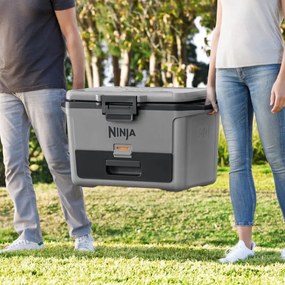 Lada frigorifica Ninja FrostVault FB151EUGY, 47 l, Pasiva, 80 doze, Pastreaza gheata pana la 6 zile, Compartiment uscat, Gri