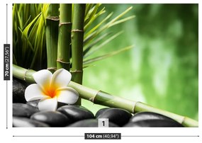 Fototapet frangipani Bamboo