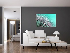 Tablou - planta cu rouă (90x60 cm)