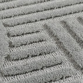 Covor tip traversă gri deschis 80x250 cm Art – Ayyildiz Carpets
