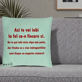 Cadou pentru Iubita - Perna Personalizata Azi Te Voi Iubi, 40x40 cm, Verde Menta, Husa Detasabila, Perna Inclusa, BEKZ®