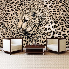 Fototapet - Fiara (152,5x104 cm)