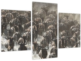 Tablou - Turmă de antilope sălbatice (90x60 cm)