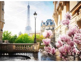 PUZZLE PRIMAVARA IN PARIS, 500 PIESE - RAVENSBURGER (RVSPA17377)