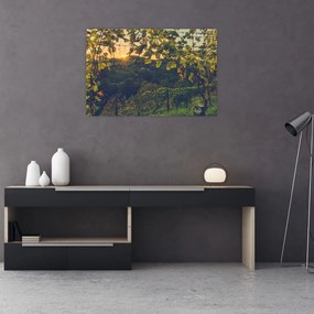 Tablou - Podgorii (90x60 cm)