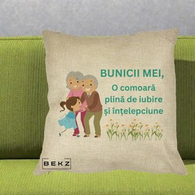 Cadou pentru Bunici - Perna Personalizata Bunicii Mei Comoara Iubire Intelepciune Nepoata, 40x40 cm, Crem, Husa Detasabila, Perna Inclusa, BEKZ®