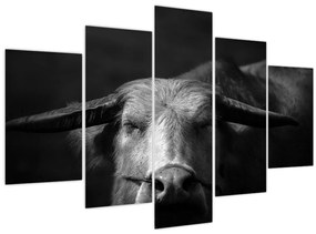 Tablou - Vacă (150x105 cm)