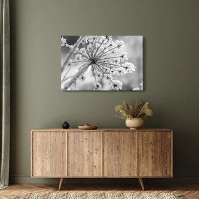 Tablou - Floare în timpul iernii (90x60 cm)