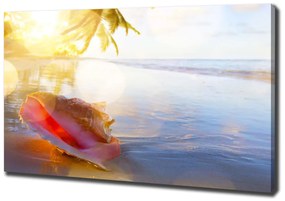 Print pe canvas Seashell pe plaja
