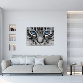 Tablou cu pisica (90x60 cm)