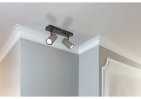 Spot Globo 57911-2S ROBBY 2xGU10/25W/230V