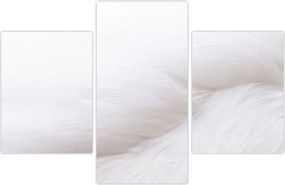 Tablou - Detalii pene (90x60 cm)