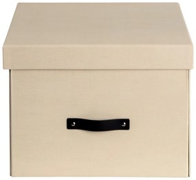 Cutie de depozitare din carton cu capac Tora – Bigso Box of Sweden