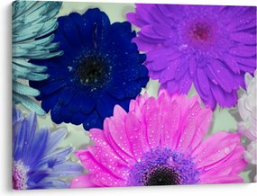 Tablou cu flori colorate (70x50 cm)