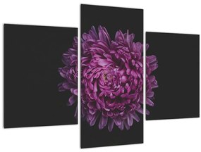 Tablou cu floare violetă (90x60 cm)