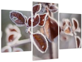 Tablou - Detaliu frunze (90x60 cm)