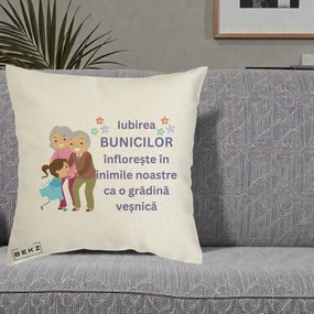Cadou pentru Bunici - Perna Personalizata Bunicii Iubirea Infloreste Bunici cu Nepoata Colorat, 40x40 cm, Ecru, Husa Detasabila, Perna Inclusa, BEKZ®