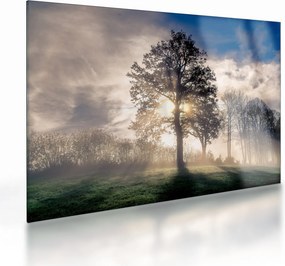 Tablou pe sticlă cu copac în ceață (70x50 cm)