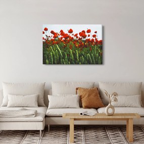 Tablou - Maci în vânt (90x60 cm)