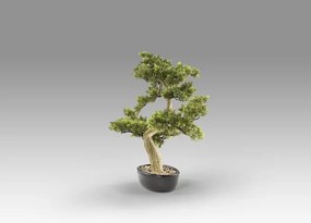 Planta artificiala, Bankan BONSAI 75cm
