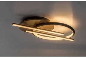 Plafonieră LED Rabalux 71404 ARASH LED/40W/230V 3000/4000/6500K