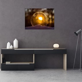 Tablou pe sticlă - Bulă transparentă (70x50 cm)