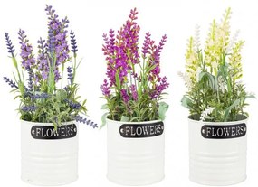 Set de 3 ghivece cu flori de lavanda, Careen Yes