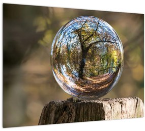 Tablou pe sticlă - Reflecție intr-o sferă transparentă (70x50 cm)