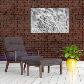 Tablou - Ramuri înzăpezite (90x60 cm)